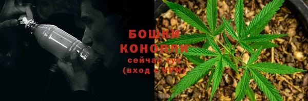 ECSTASY Богородск