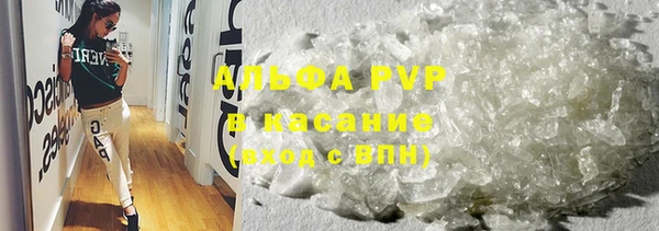 ECSTASY Богородск